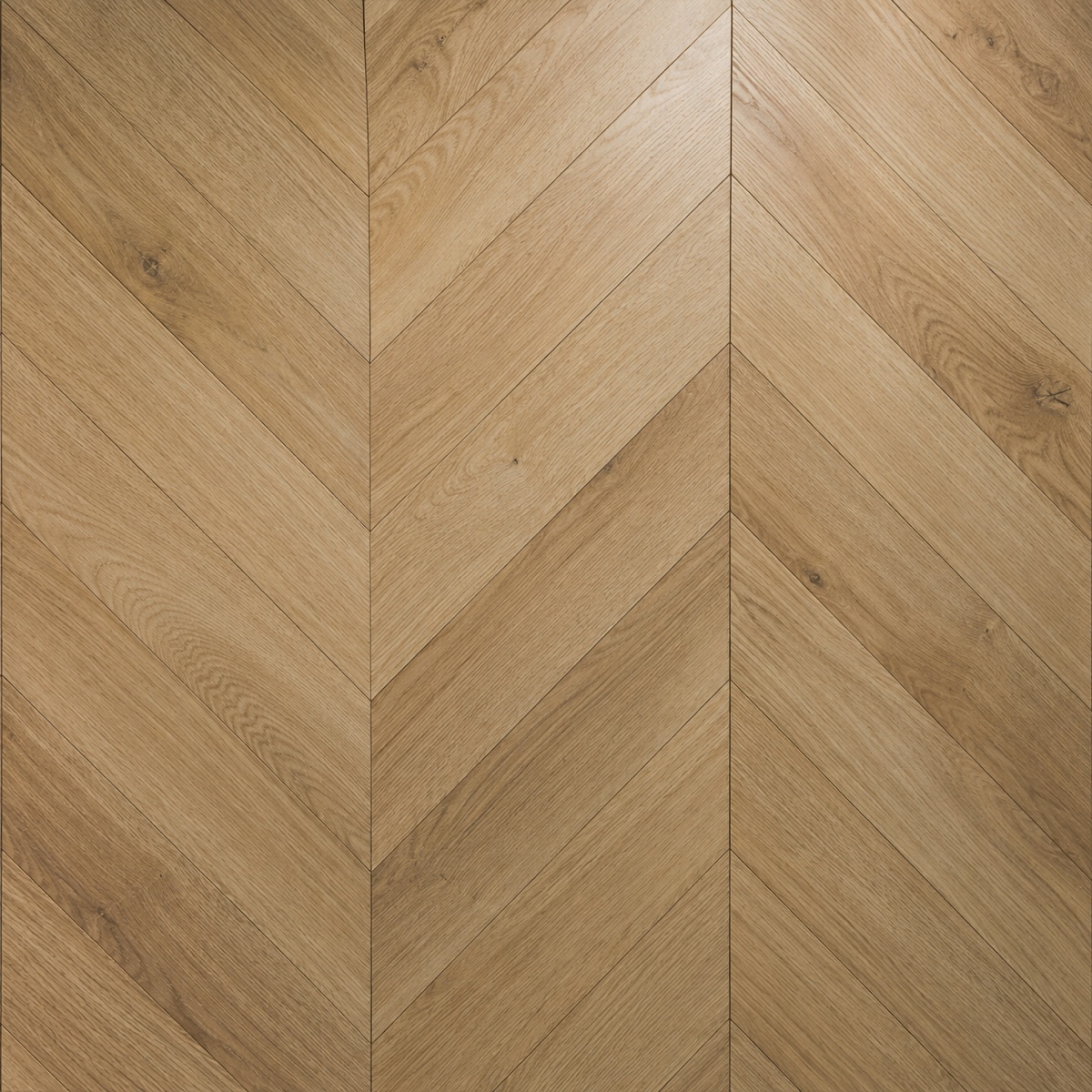 Chevron